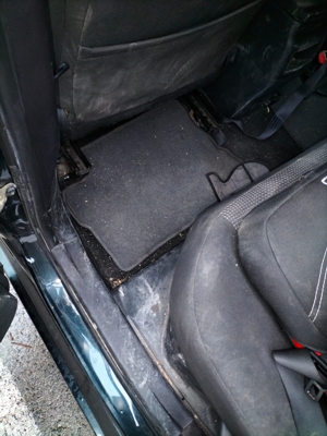 Ecocarclean. Coche extra sucio1